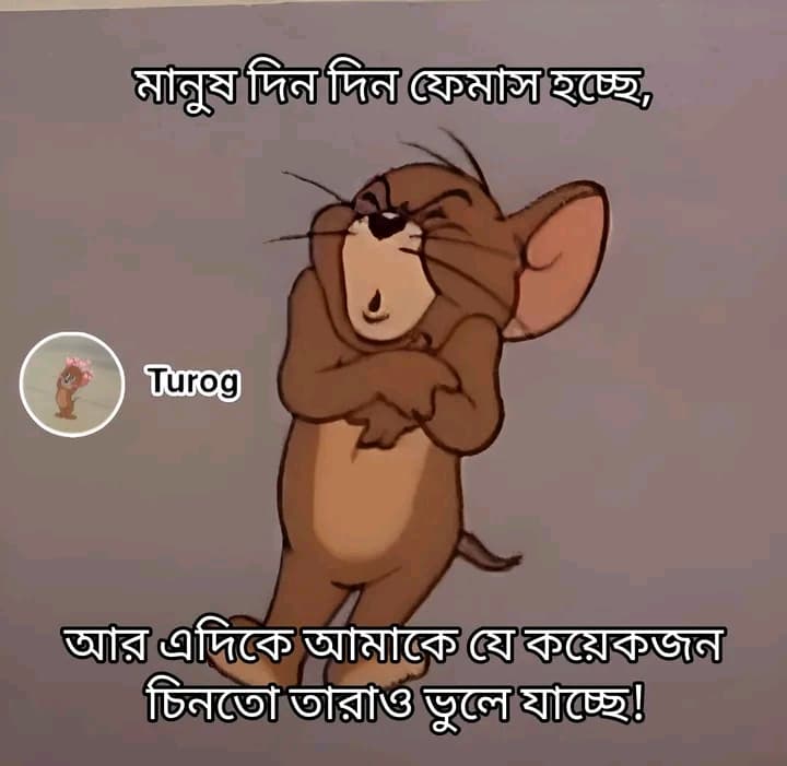 search
